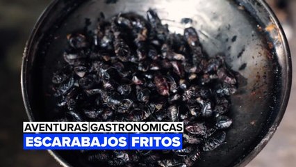 Aventuras gastronómicas: escarabajos
