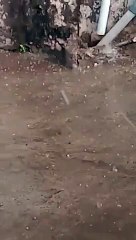 Hail fell in khargone