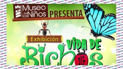 Soluciones del Trece - Miércoles 17 de febrero del 2021