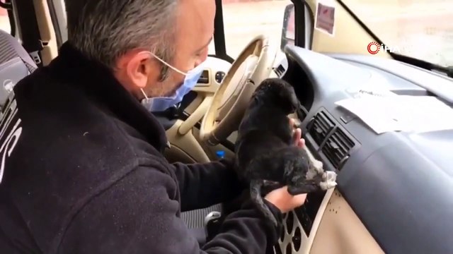 Donmak üzere olan yavru köpeğe polis şefkati