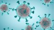 7 new coronavirus variants in the USA have scientists worried about their infectiousness