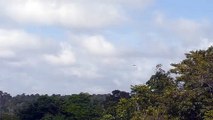 Airbus A320 PR-MYH na aproximação final antes de pousar em Manaus vindo de Brasília