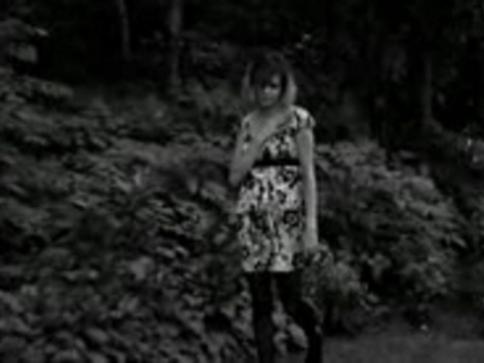 Ntg-imnotthere_xvid-sample