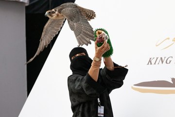 "عذاري الخالدي".. أول امرأة سعودية تتأهل للمشاركة في مهرجان الملك عبد العزيز للصقور
