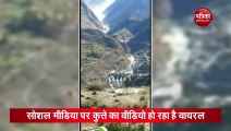 उत्तराखंड आपदा के बाद एक कुत्ता 3 दिन से कर रहा अपने मालिकों का इतंजार..