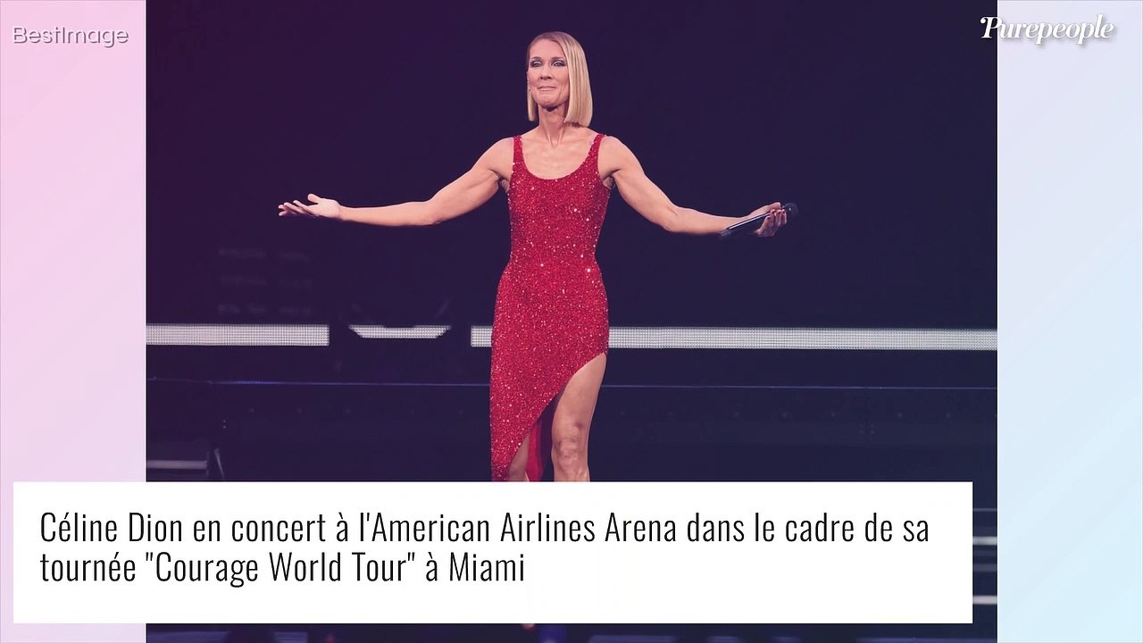 Céline Dion partage les photos de ses fils réunis, pendant que ses fans s'agacent...