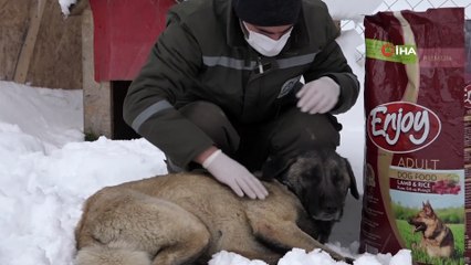 - Esenyurt’ta can dostları yalnız bırakılmıyor