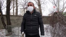 Yüksekova’da korku salan kurt sokak sokak aranıyor