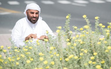 محمد الزعابي: حديقة الاتحاد ثرية بالنباتات المحلية
