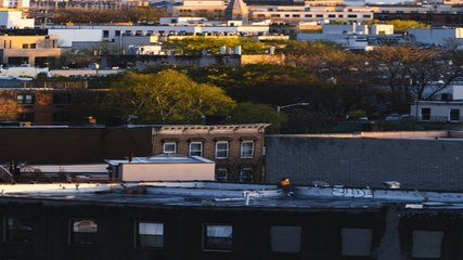 الحياة من شوارع نيويورك إلى أسطحها