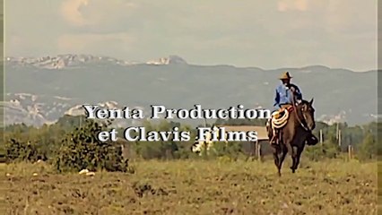 Les Toros de Camargue