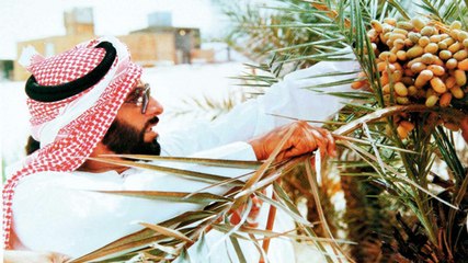 الإمارات من أهم 5 دول في إنتاج وتصدير التمور