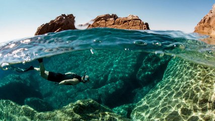 تعرّف على أفضل مواقع الغوص في الإمارات