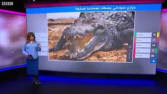 مزارع سوداني يصطاد تمساحا ضخما أرعب سكان ولاية نهر النيل والتهم شخصين