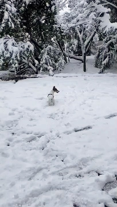 Τζένη Μπαλατσινού: Η βόλτα στα χιόνια και τα παιχνίδια με τον γιο της!