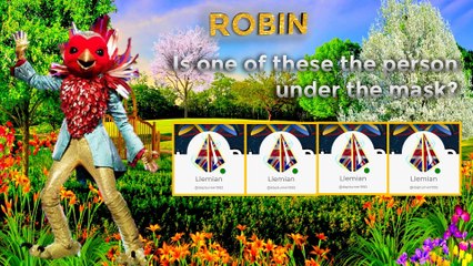 Masked Singer Forums S0206 - Results