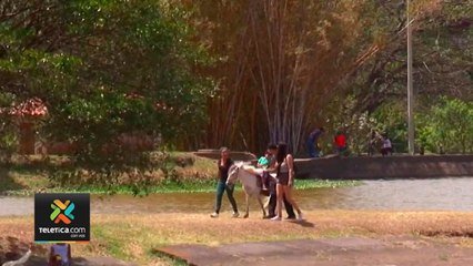 tn7-temperaturas-podrian-alcanzar-hasta-37-grados-160221