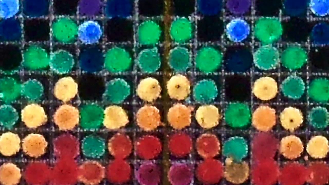 "LIBELLULES" 2  LA LÉGENDE DES DRAGONFLY  1