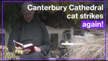 Cathedral cat steals Dean of Canterbury’s pancakes during morning prayer