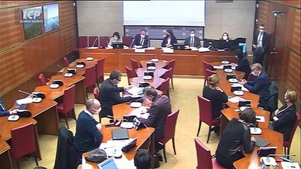 M. Orphelin (non inscrit) et Loïc Prud'homme (LFI) doutent que le référendum modifiant la Constitution pour y intégrer la préservation de l'environnement puisse se tenir avant la fin du quinquennat.