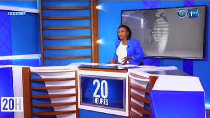 RTG/ Echange entre le Ministre de l’économie et le PDG du groupe BGFI BANK