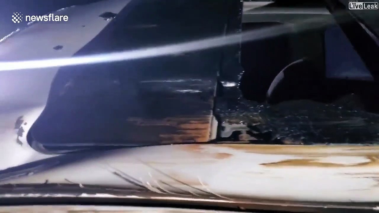 Un sequoia géant tombe sur leur voiture mais ils vont avoir beaucoup de chance