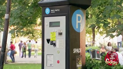 Skunk Parking Prank - Just For Laughs Gags