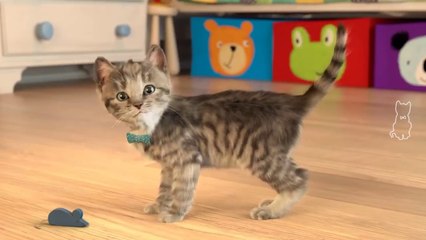 Lindo Gatito | Dibujos Animados Infantiles (Capítulo 3)