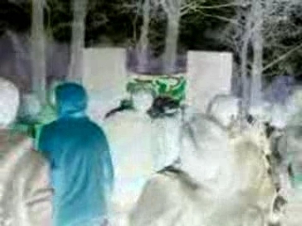 MARGAL TR!BE 23.02.2008 ..Négatif..