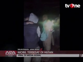 Mobil Masuk Hutan Secara Misterius Viral di Media Sosial