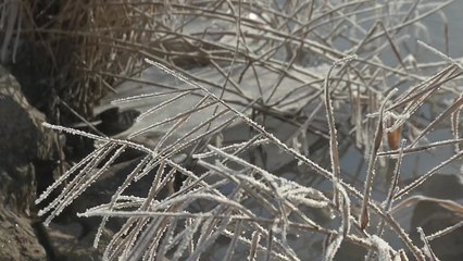 [날씨] 칼바람에 체감 온도 -14℃ '뚝'...호남·제주 '대설특보' / YTN