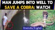 Man saves a Cobra from drowning, jumps into a well to rescue it | Oneindia News