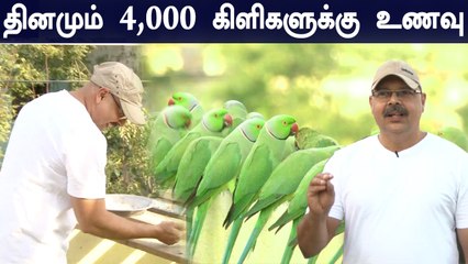 சென்னையில் இப்படி ஒரு இடமா..? தினமும் 4,000 பச்சைகிளிகளுக்கு உணவு வழங்கும் மனிதநேயர் சுதர்சன்