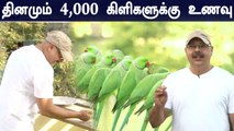 சென்னையில் இப்படி ஒரு இடமா..? தினமும் 4,000 பச்சைகிளிகளுக்கு உணவு வழங்கும் மனிதநேயர் சுதர்சன்