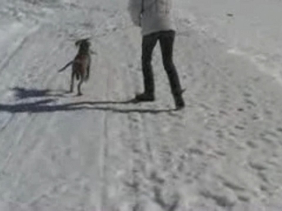 Kyra à la neige