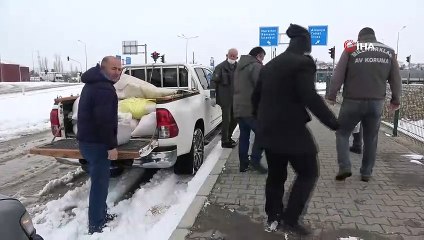 Amasya’da kuşlar ve sokak hayvanları için yiyecek bırakıldı