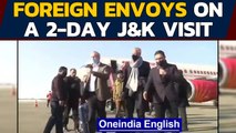 J&K: 24 foreign envoys and ambassadors arrive in Srinagar, interact with locals | Oneindia News