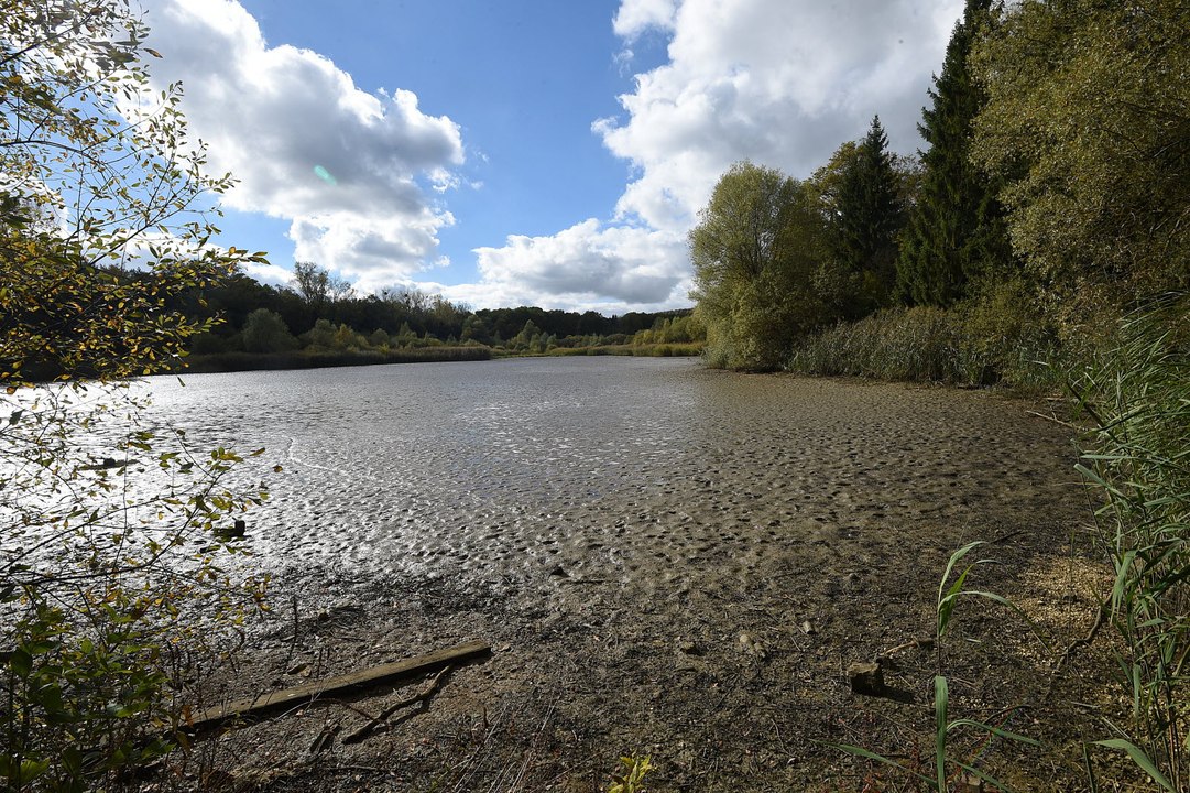 Vol hors du commun, il retrouve son étang vidé, sans poisson