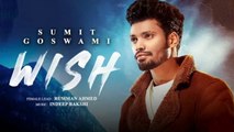 Wish - Sumit Goswami | Deepesh goyal | new song |
