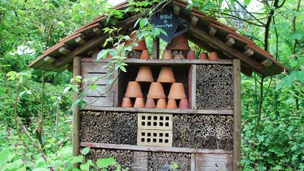 Les projets 2021 de la délégation Environnement