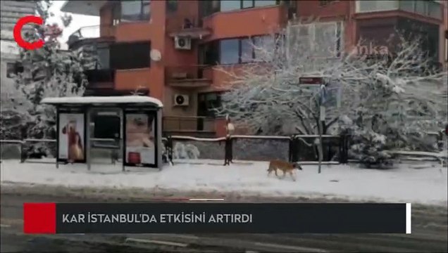 İstanbul'da kar etkisini artırdı. Araçlar yolda kaldı, bazı vapur seferleri iptal edildi