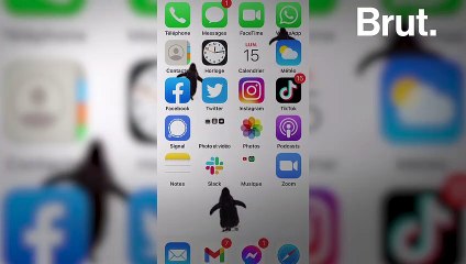 Qui se cache derrière ces faux comptes qui polluent nos messageries ?