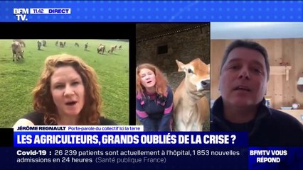 Les agriculteurs, grands oubliés de la crise du Covid ? BFMTV répond à vos questions