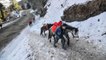 Himachal Pradesh: Shimla receives fresh snowfall