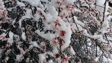 Χιόνια μόνο στα ορεινά της Λιβαδειάς