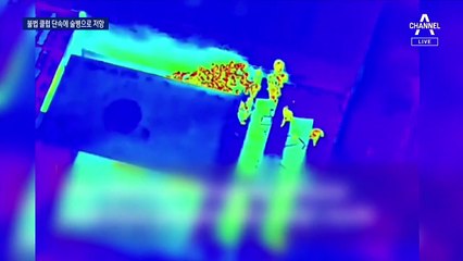전 세계 확진자 급감했지만…코로나는 방심을 노린다