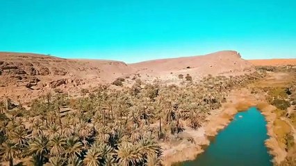 Didine_Canon_16_X_Yasmine_Ammari_-_Ktab_Laghram_-_كتاب_الغرام_(Official_Music_Video)