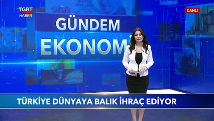 Türkiye Levrek ve Çipurada Dünya Lideri