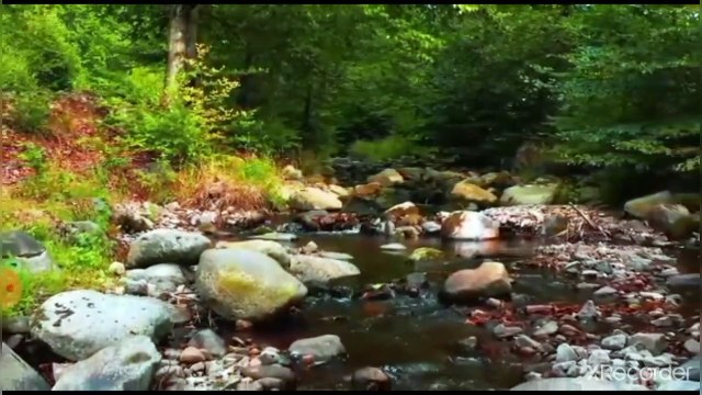 القانون الجنائي تحديد المسئولية الجنائية للجرائم النت ـ الانترانت ـ ميني تل وبطاقة الائتمان