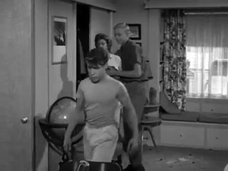 American Sitcom Television - My Three Sons Season 1 Episode 20
